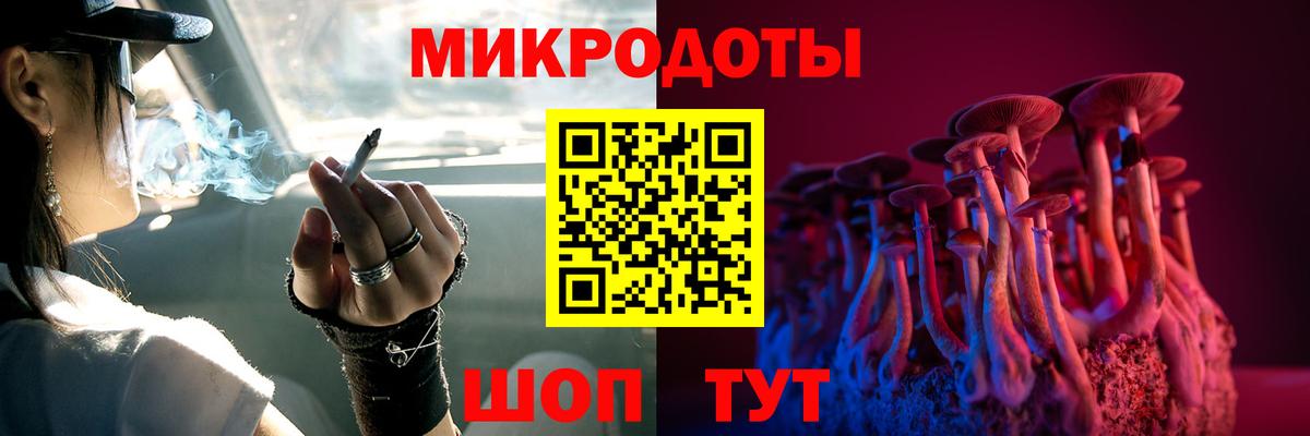 Псилоцибиновые грибы MAGIC MUSHROOMS  Вход с VPN  Кизилюрт 